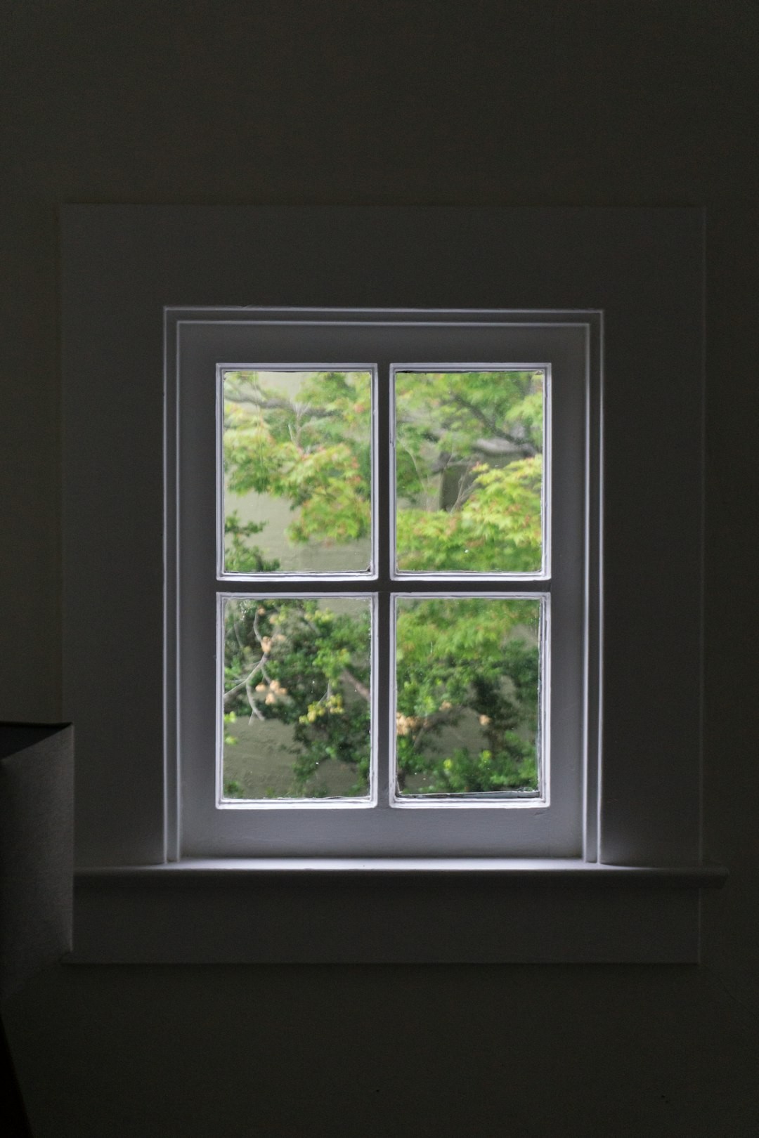 View of green foliage through a four-pane window in a dark room.