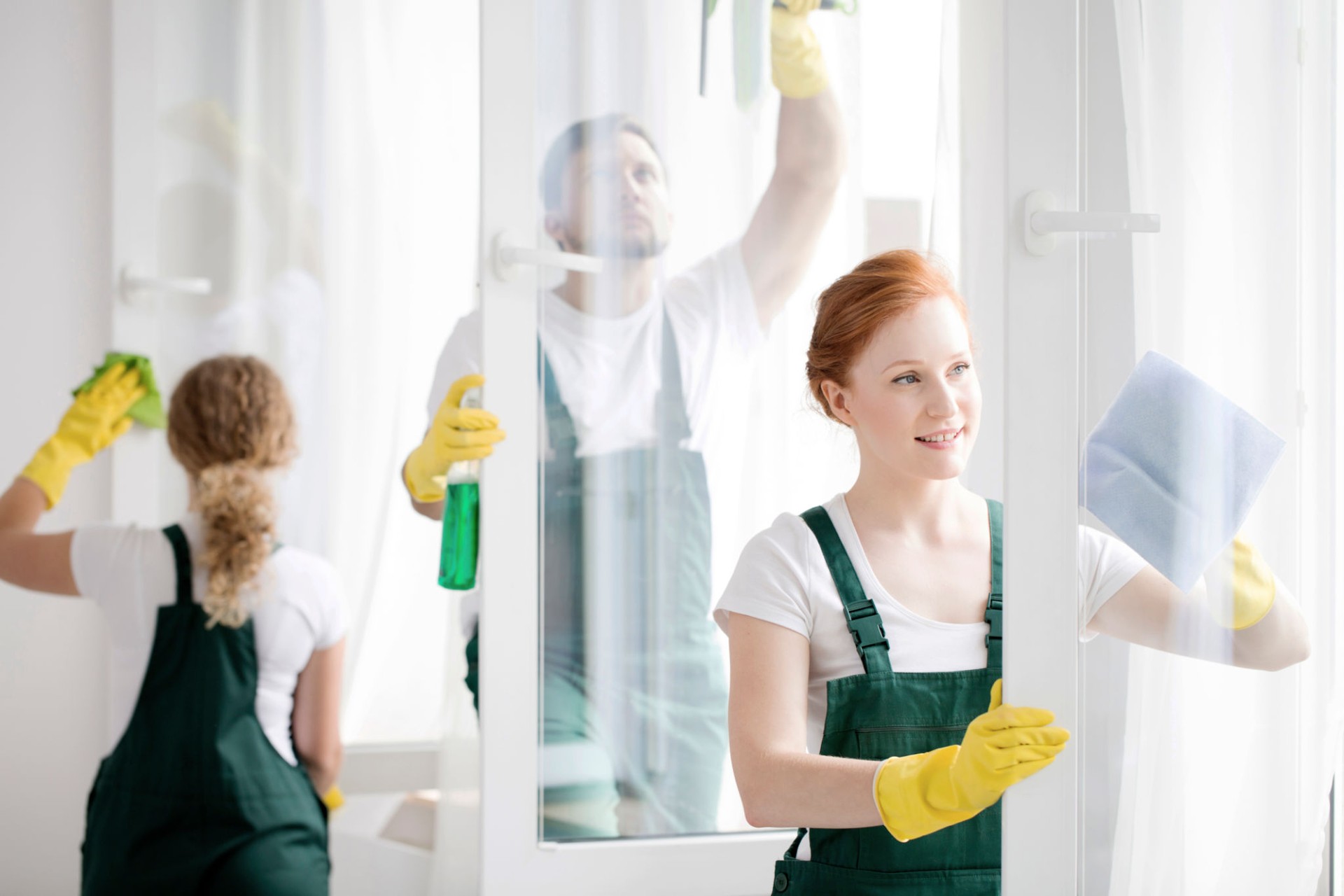 Team cleaning office windows